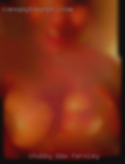 Chubby, BBW and SSBBW in Fernley lover.